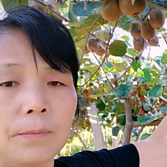梓韵迪雅（诚信老实人弥猴桃）勿连赞