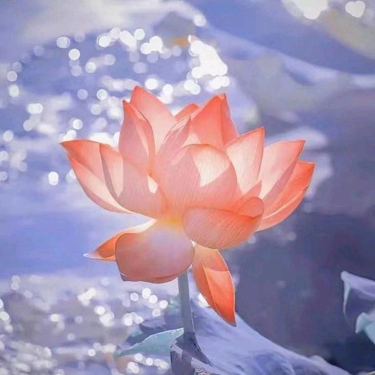 开开心心
