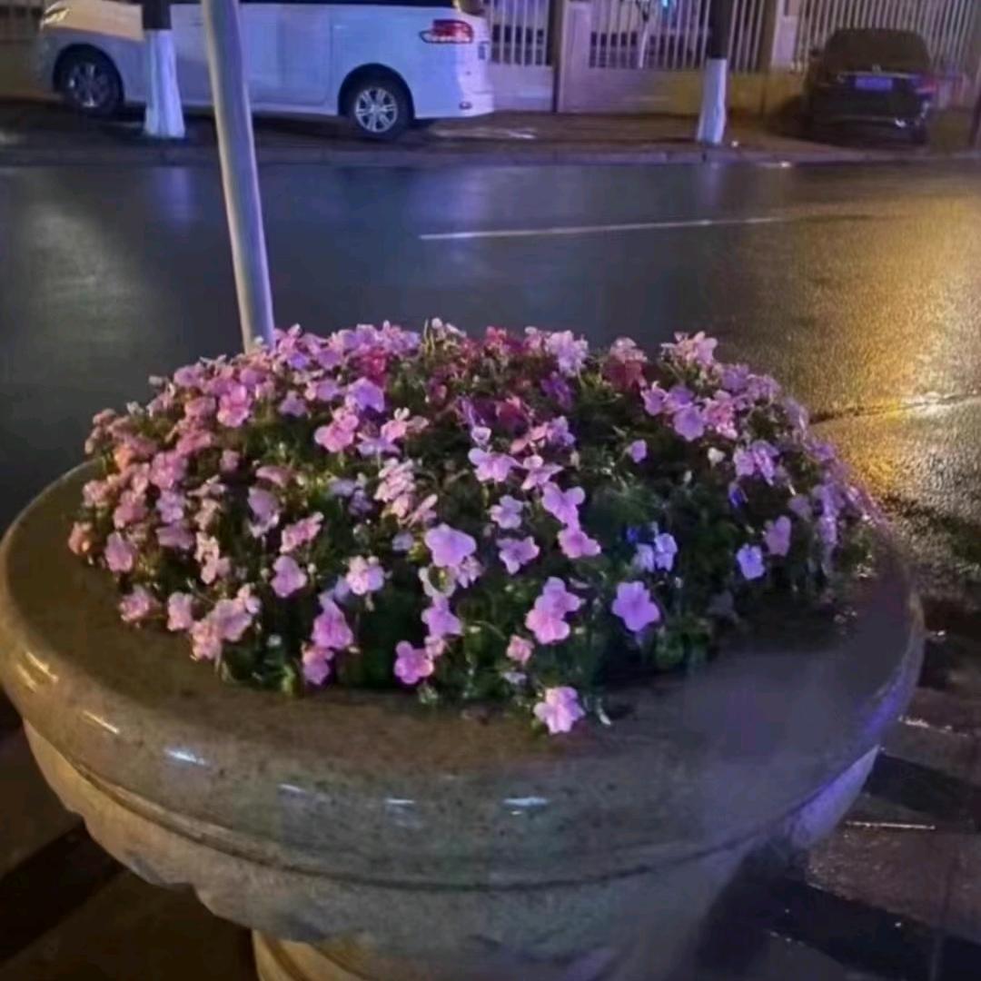 没事