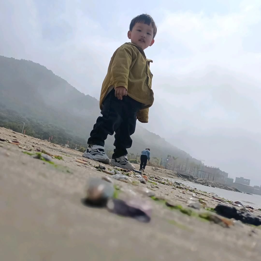 骆驼没有峰