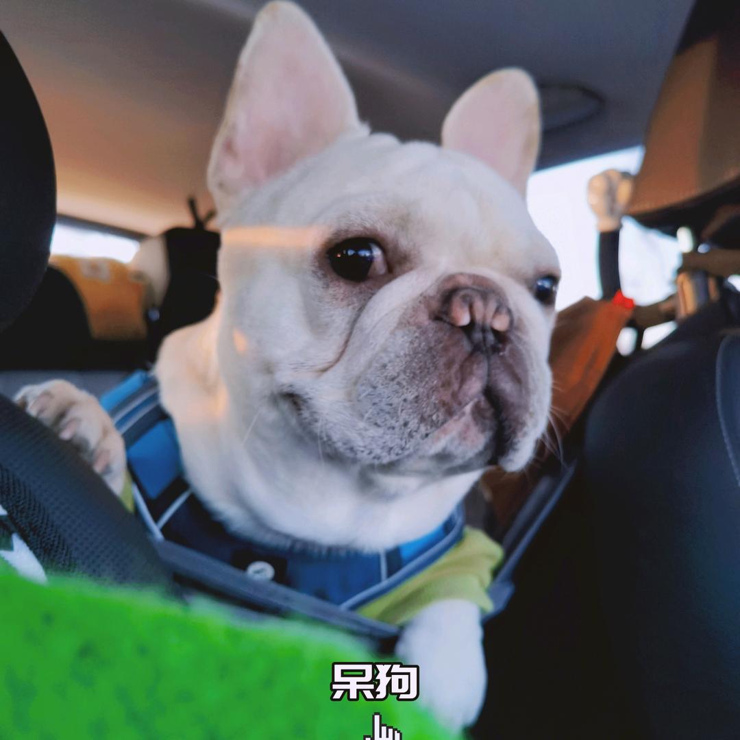 曹元宝和孙满宝