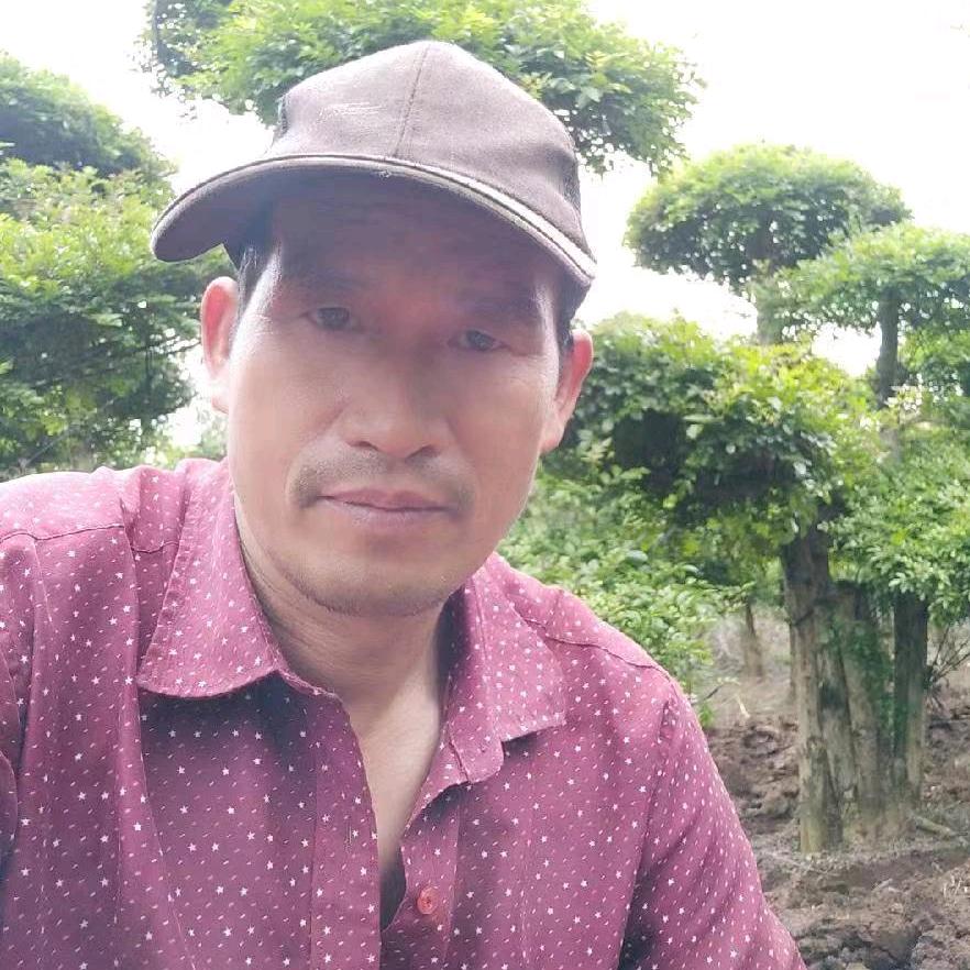 不简单