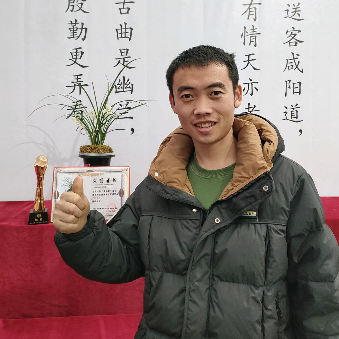 贵州兰花小龙