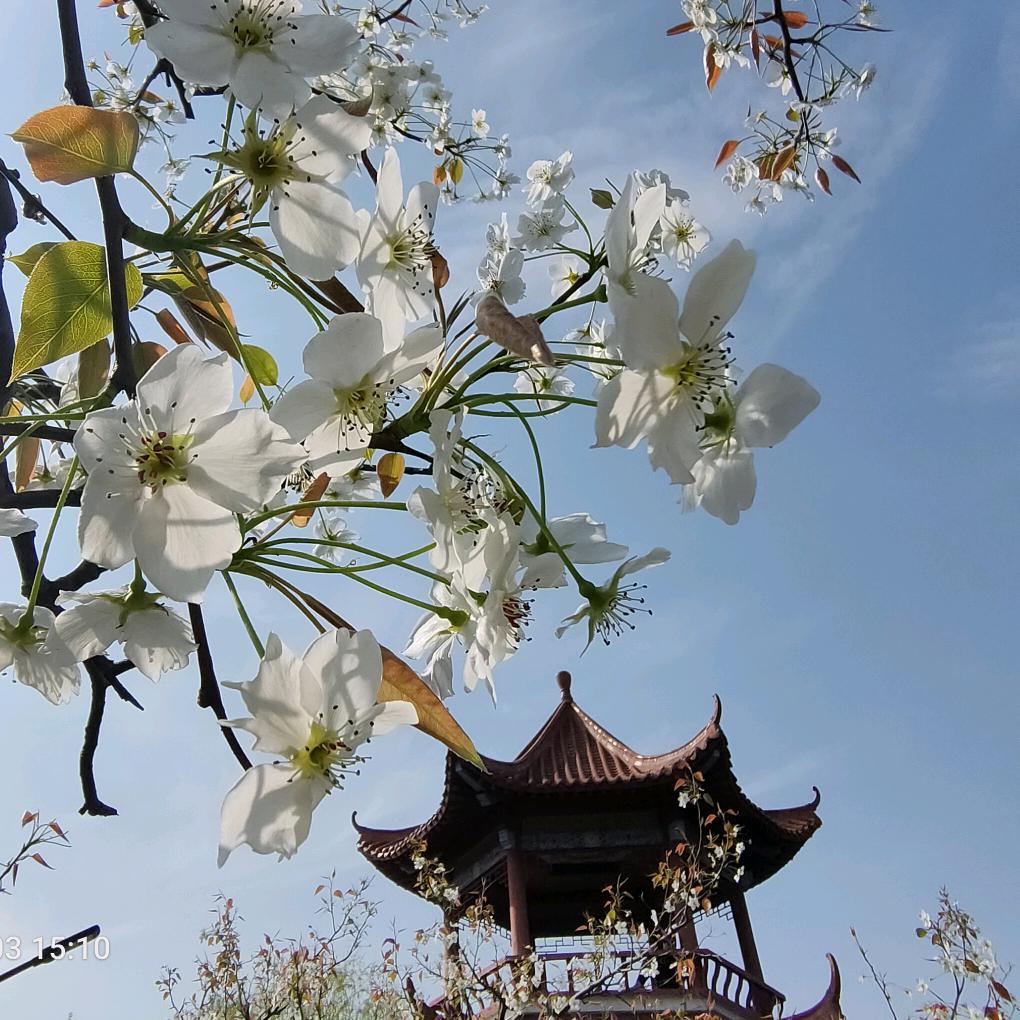 小陈家生活