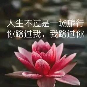 万家小妮子