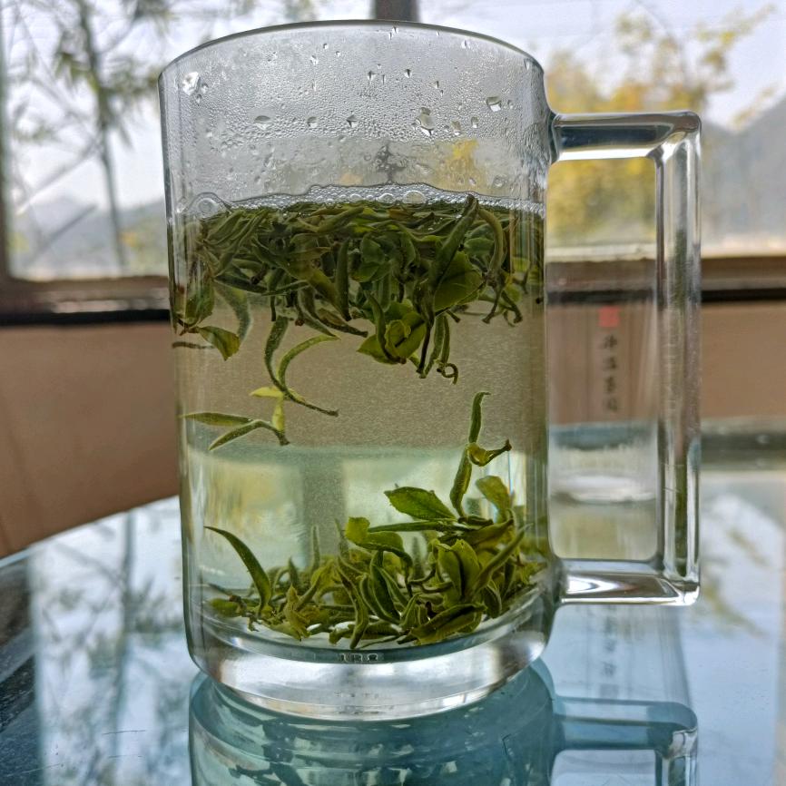 升昌茶园-古镇烟雨