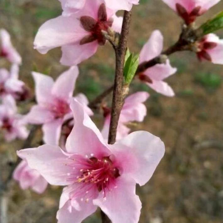 @🇨🇳GF郭哥🐇