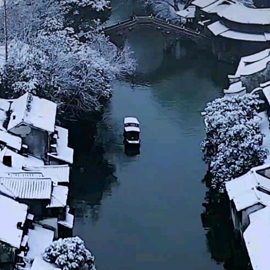 星许挽月
