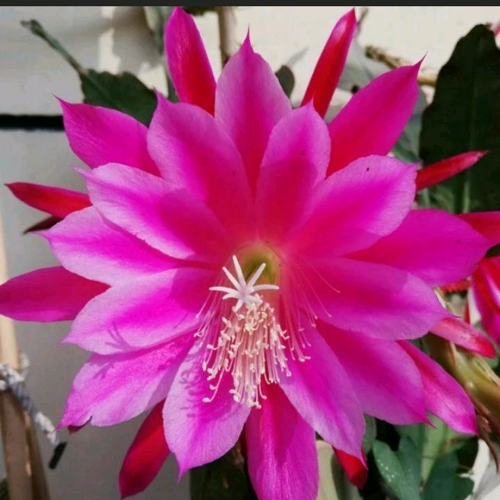 用户，永远幸福