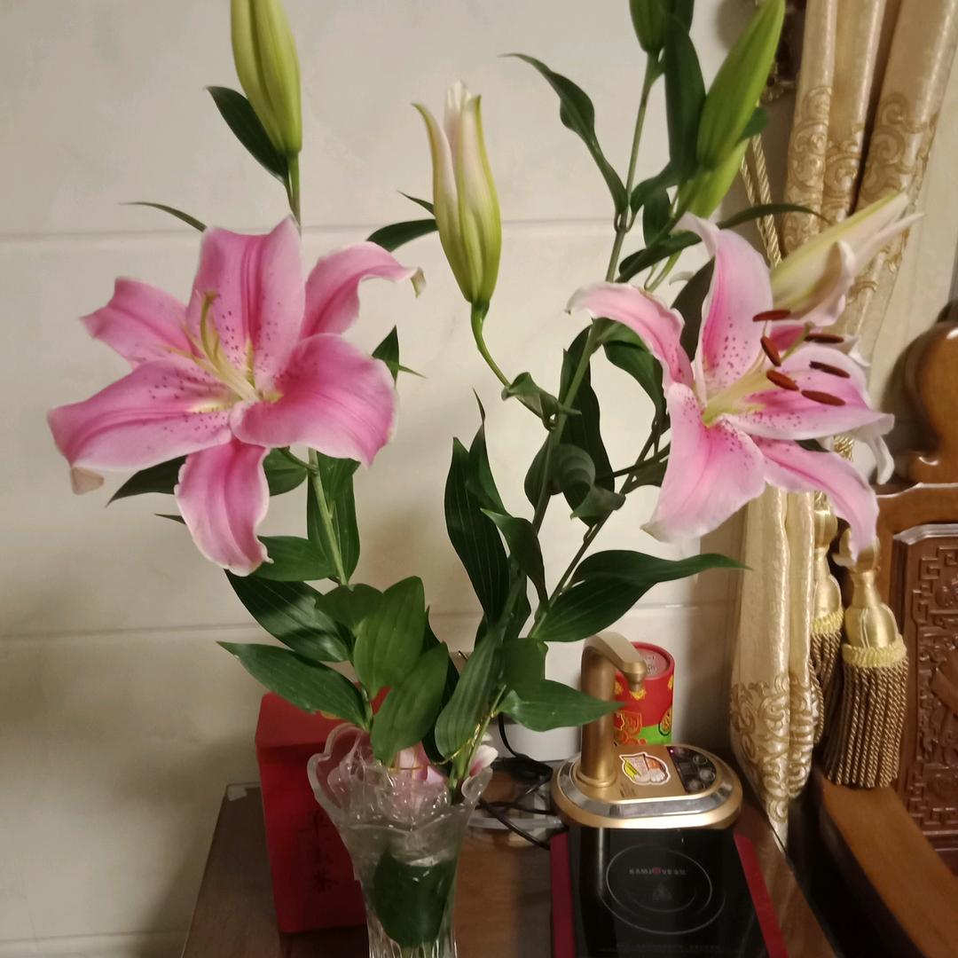 用户4878182047455燕