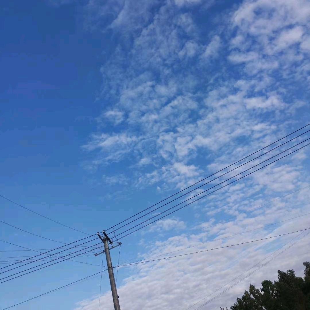 不问岁月任风歌