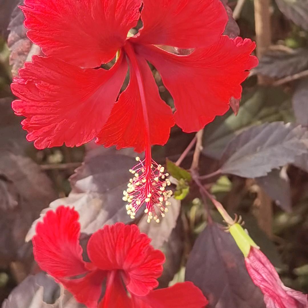 上海攀丘矿山机械有限公司