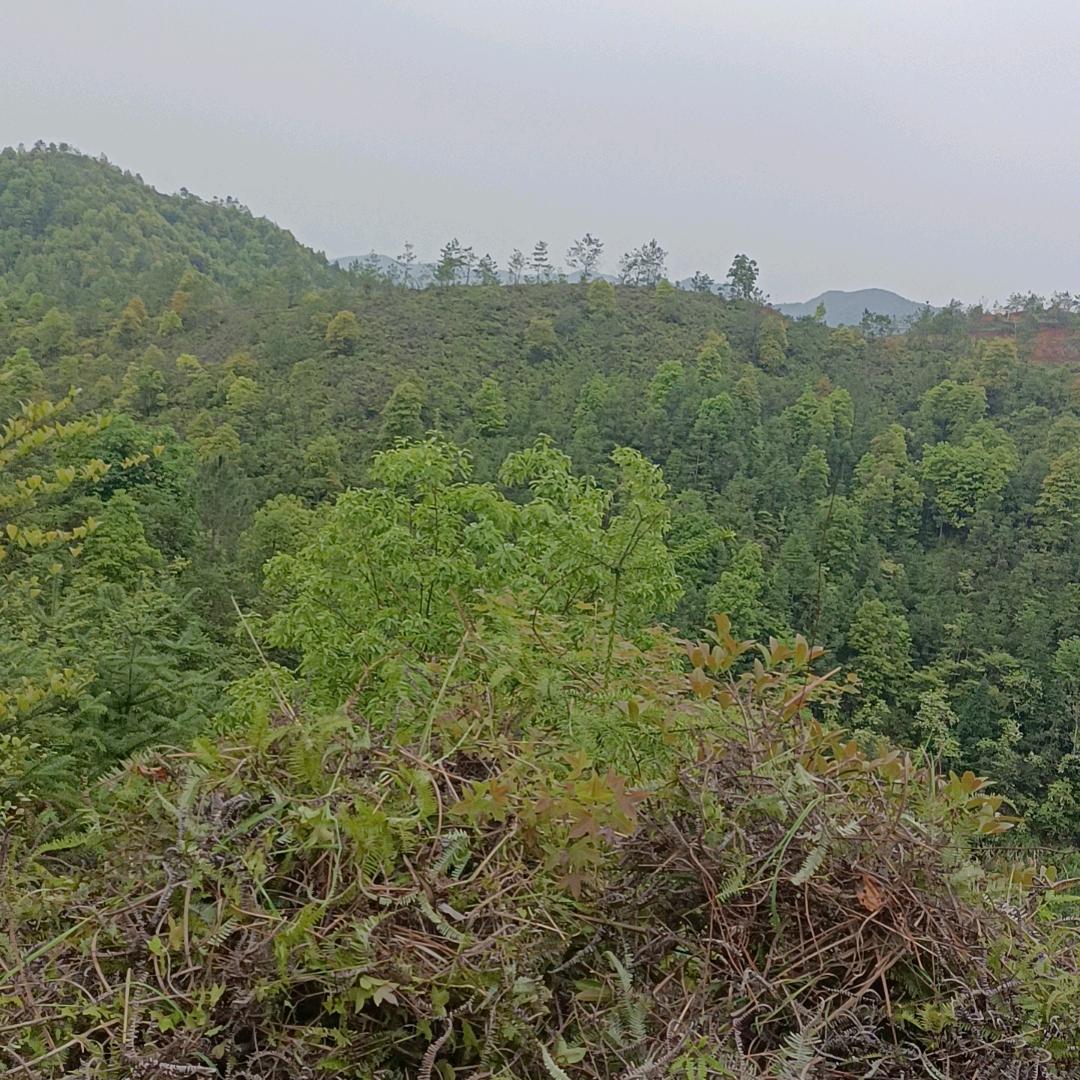 心里苦自己知道