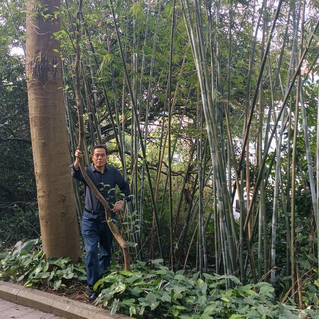 风度