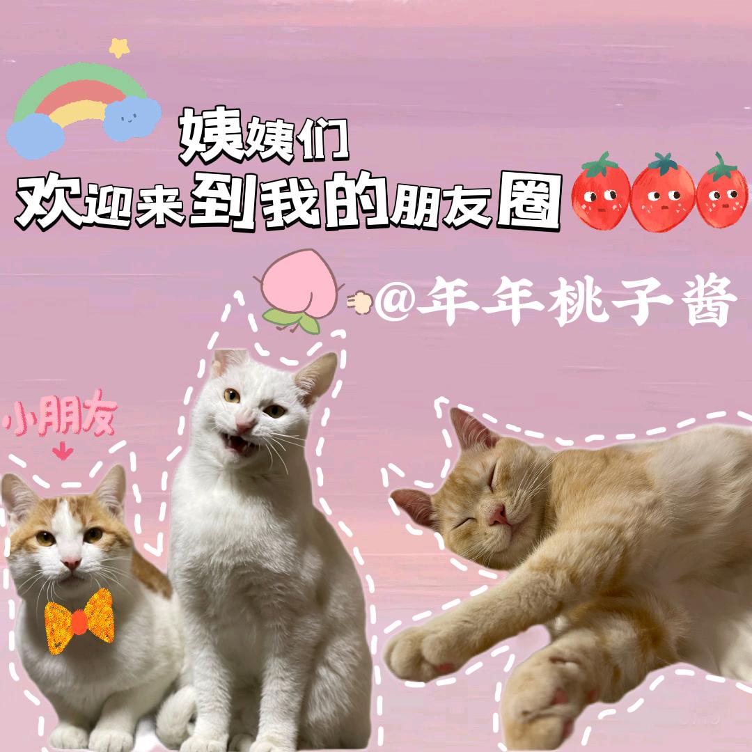 十月初(全能只辅助)