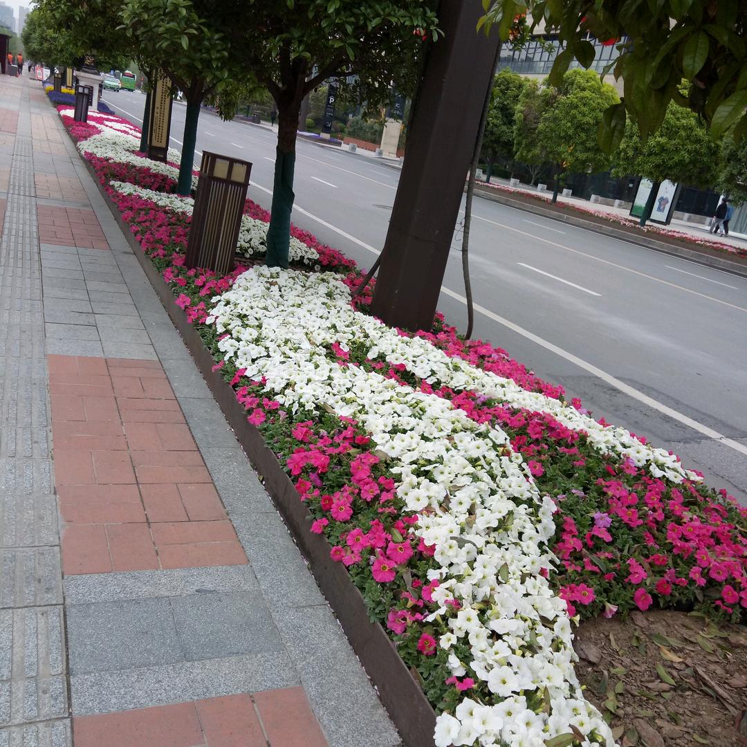 有你真好，遇见你人缘好