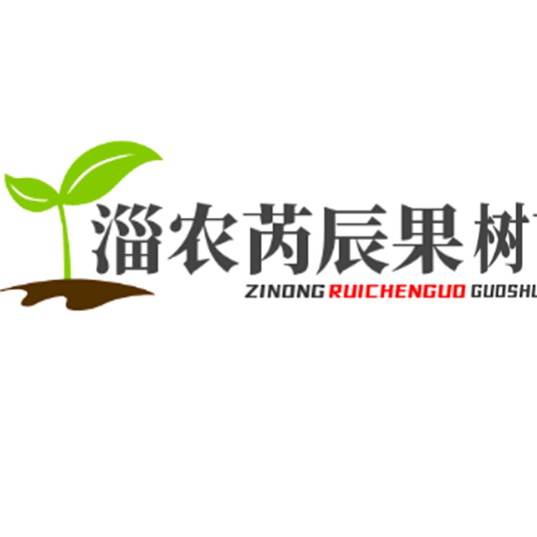 奶萝临沂淄农芮辰苗木有限公司果树苗木专卖店