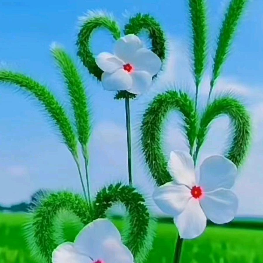 ❤春暖花开❤