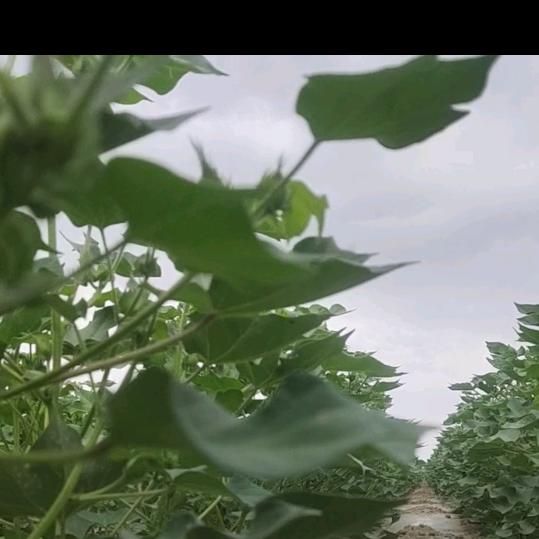 昊翔