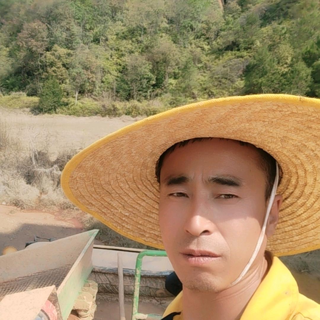 海波绿化