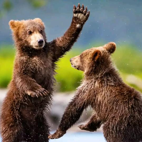 顺其自然╭(╯ε╰