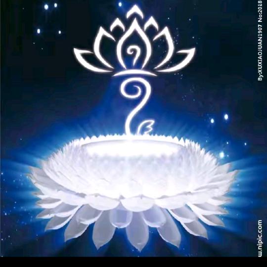 沐辰🐉—玄易阁（小号）