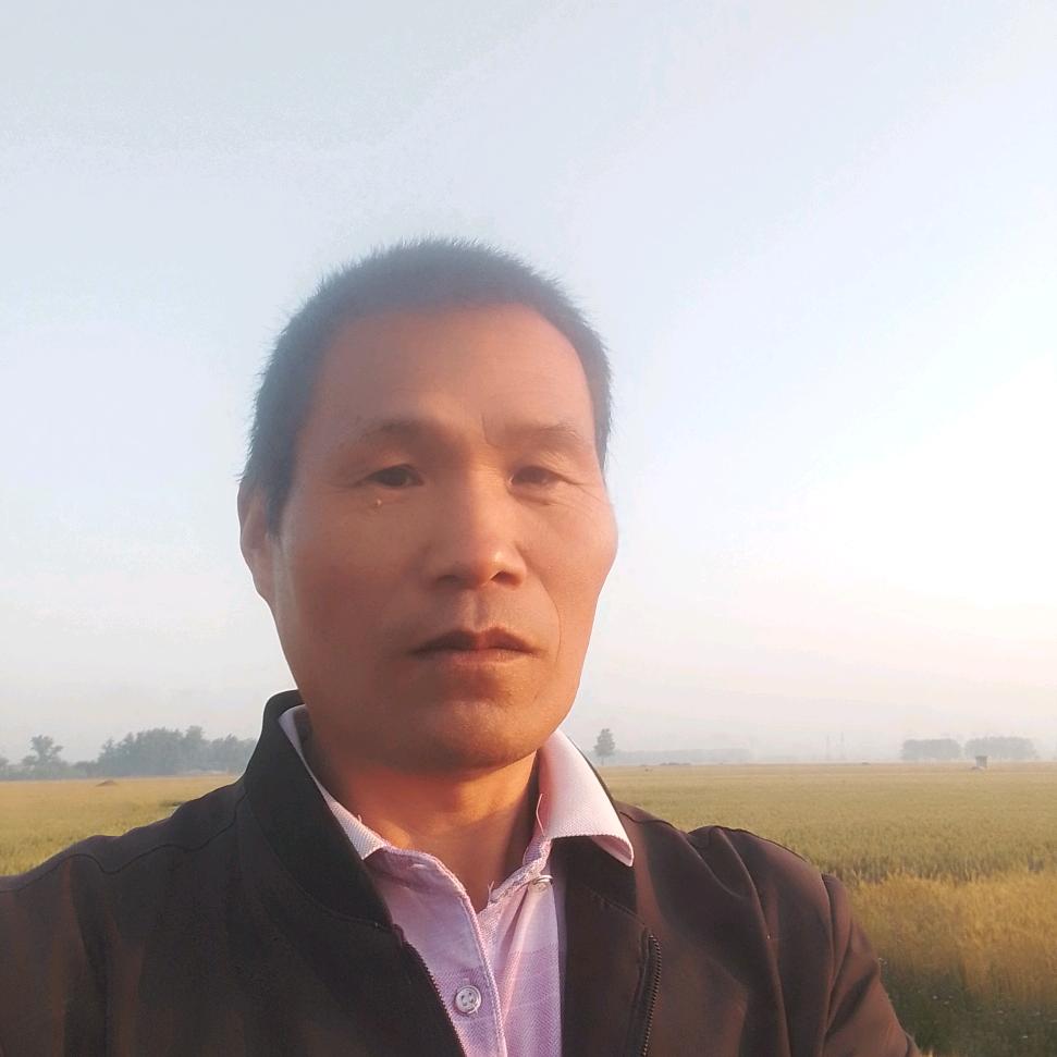 @金元音乐