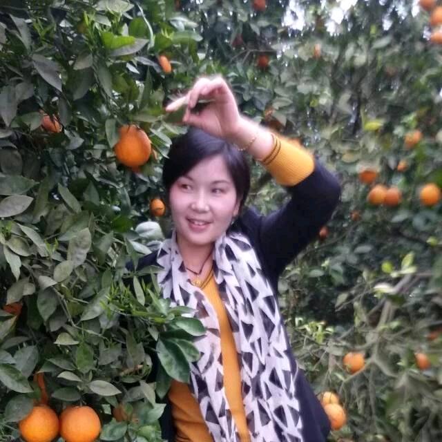 文川菲雨