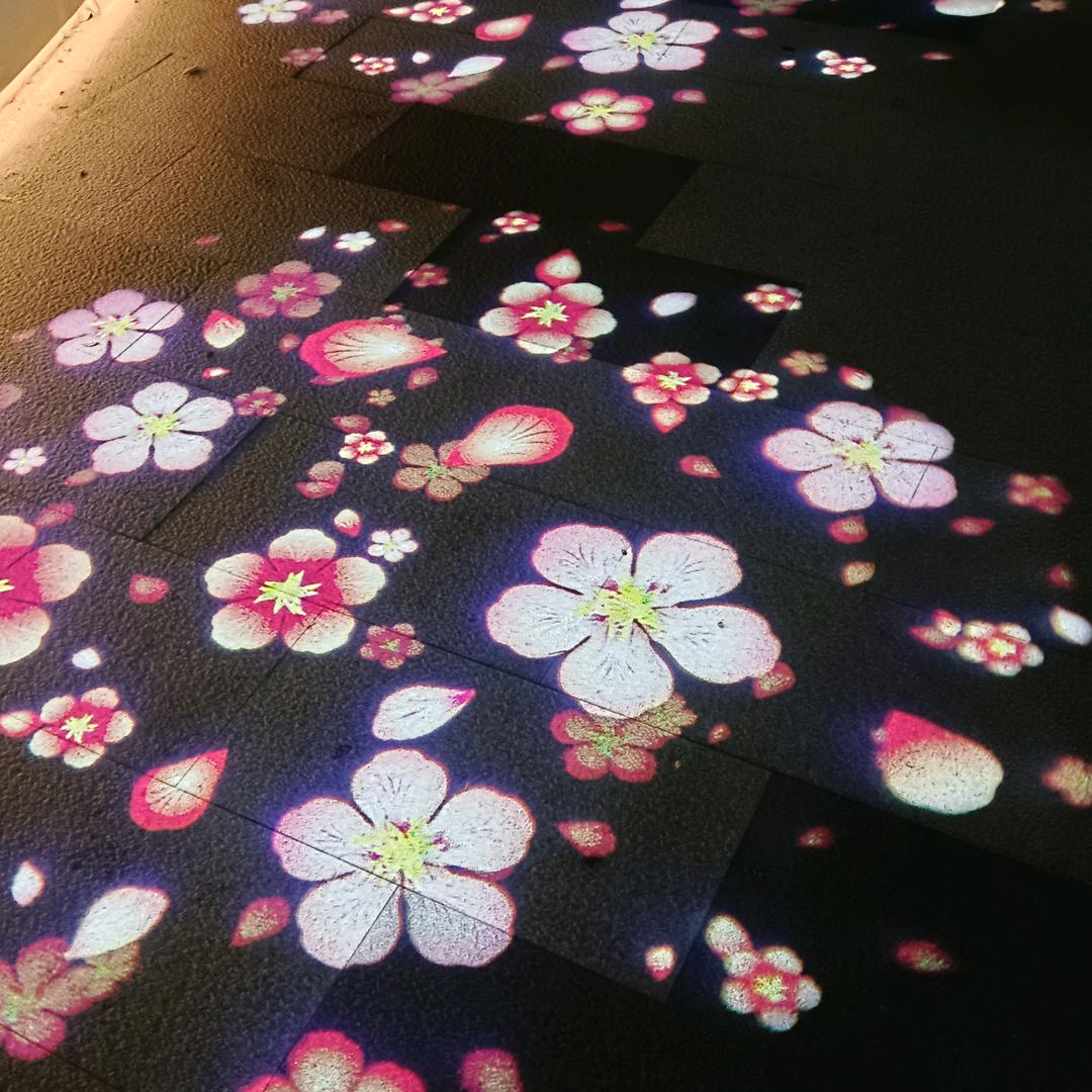 树弯勾