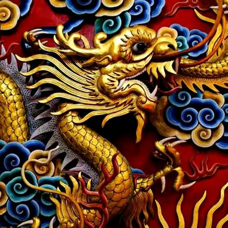 龙腾缘