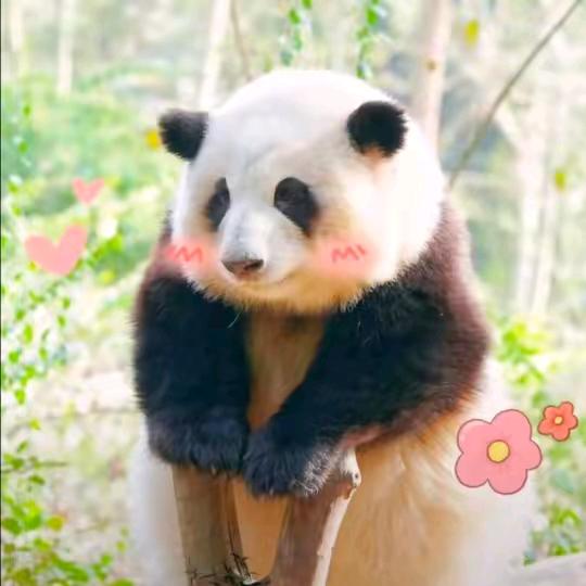 心扉💞