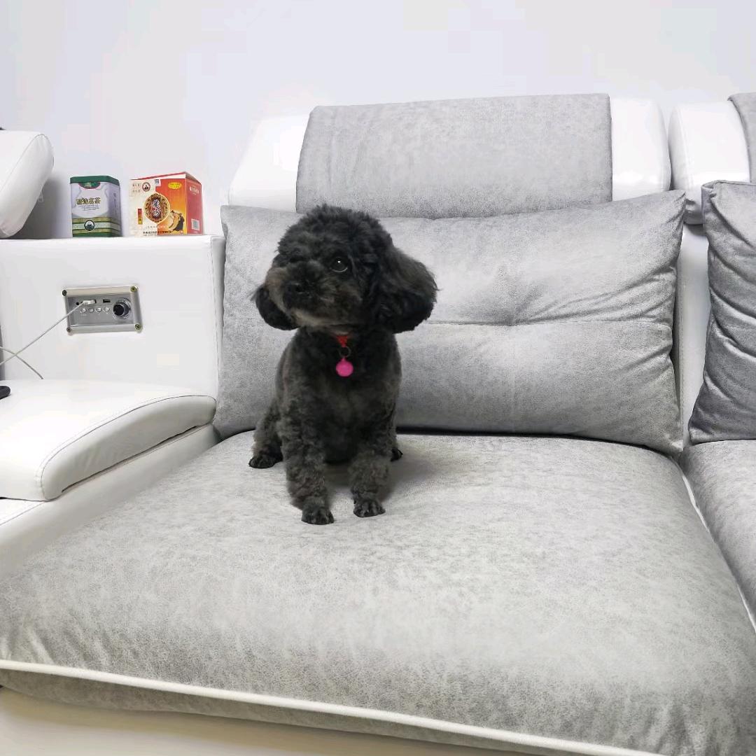 沙沙🍒🍒🍭🍭