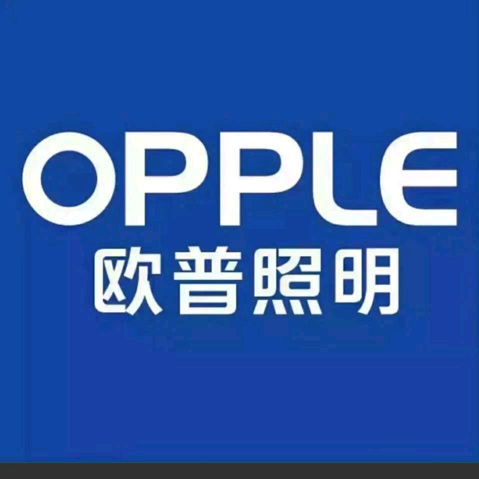 保定容城欧普照明（九龙装饰城）