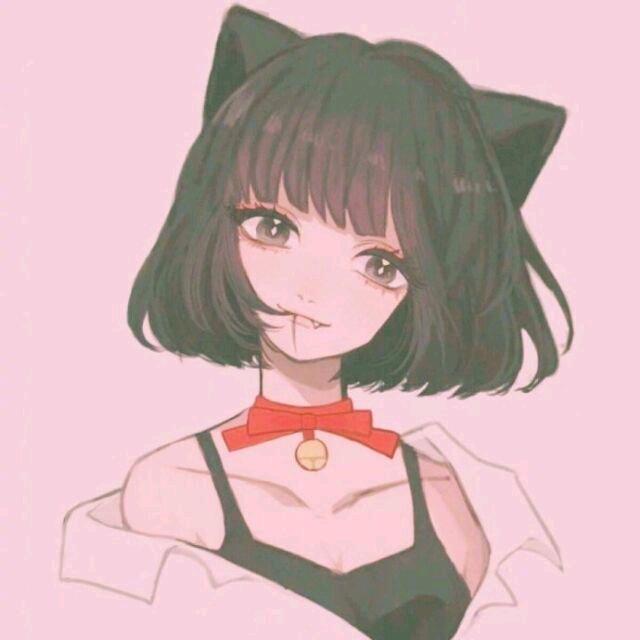 幸运的猫三岁