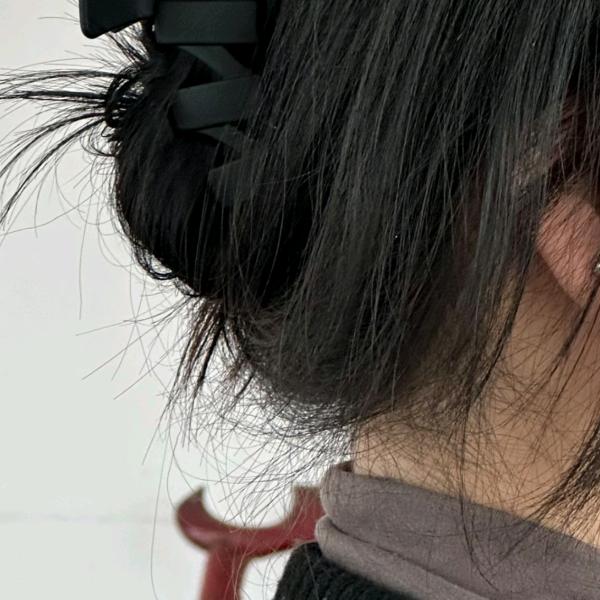 鱼大胖生活日记