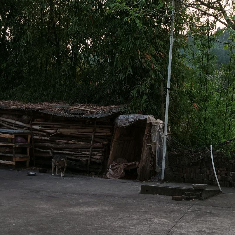 地址:省 市 区 路 小区 号楼 单元