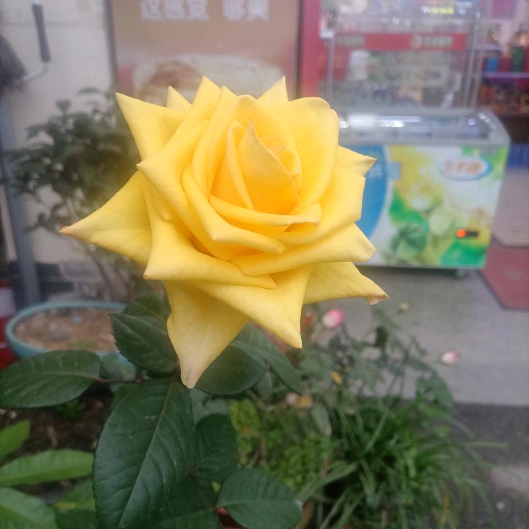 💞缘来有你💞