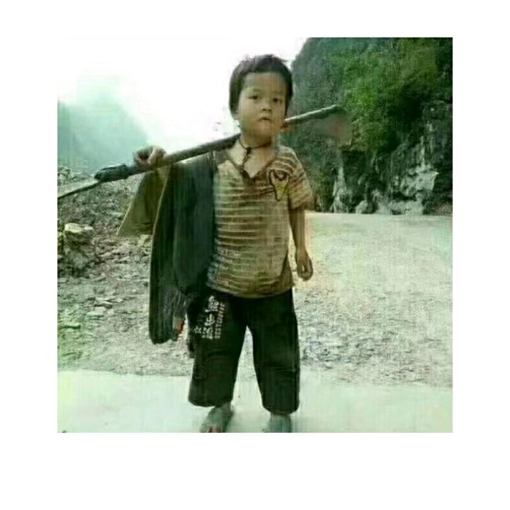 顺其自然