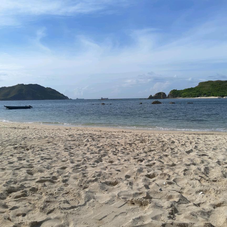 海棠未眠