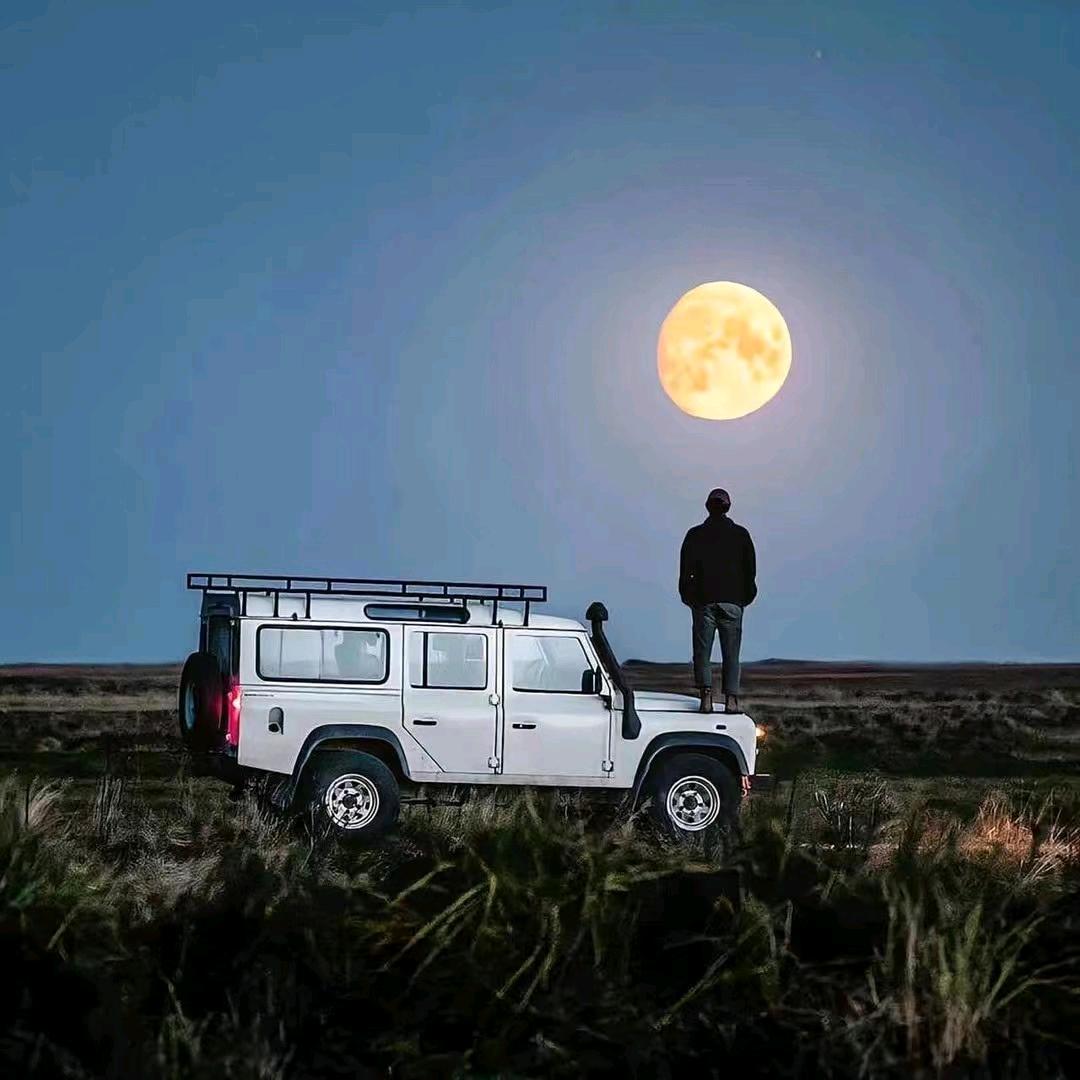 燕雀安知鸿鹄之志