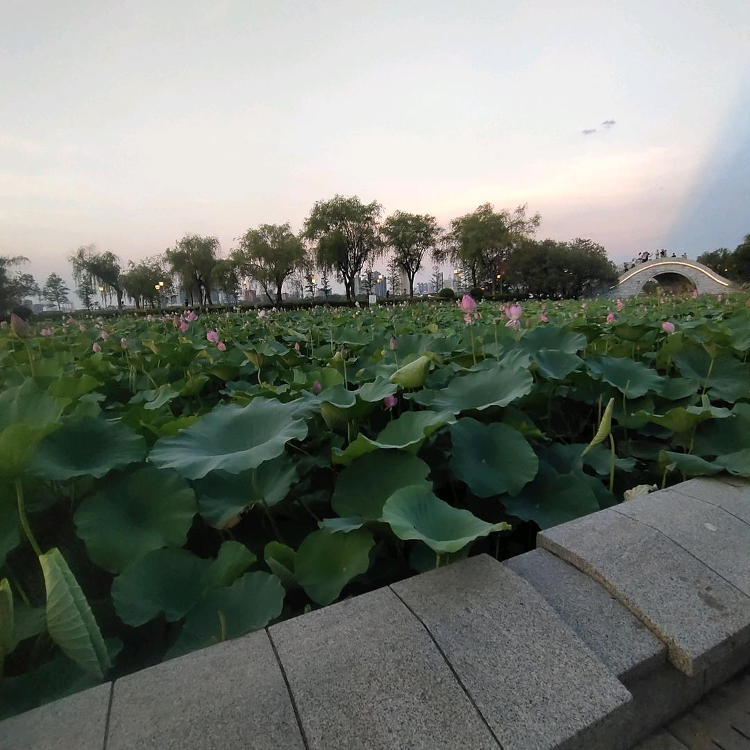 米老鼠