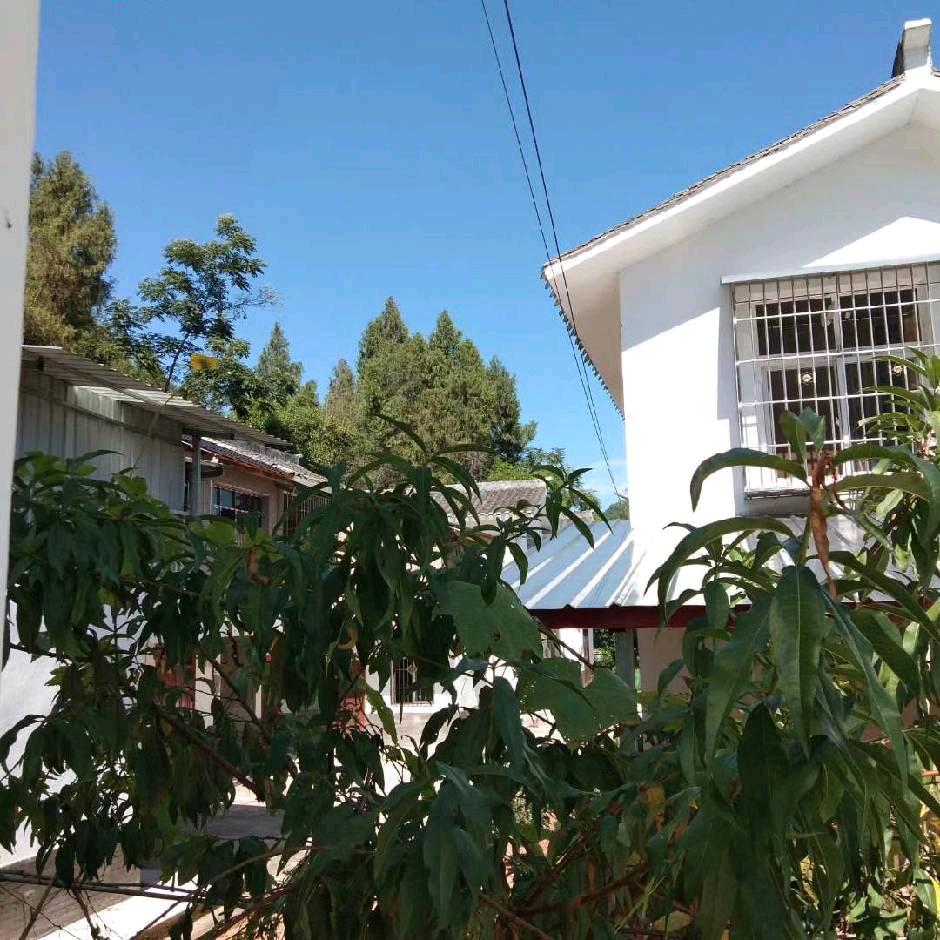 🐯🌹🐯四川🌹🐯郭姐🌹🐯🌹