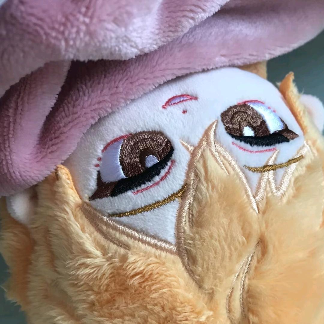 真实姓名