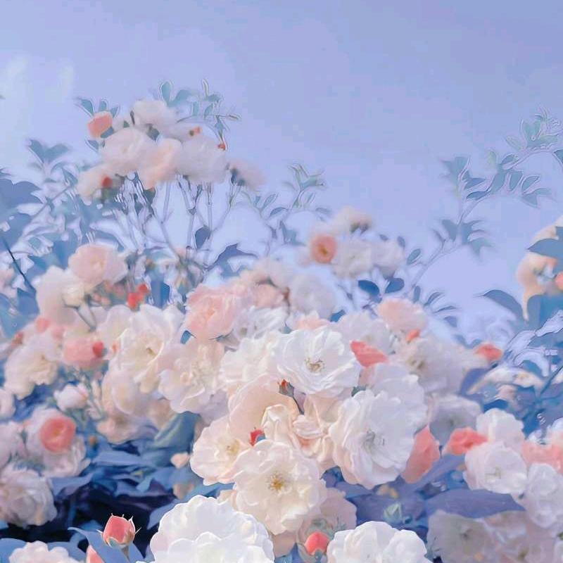 今天也是躺平的一天