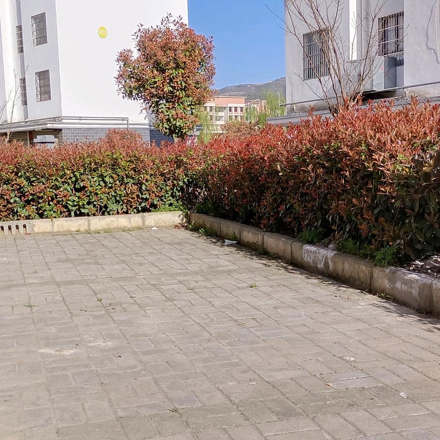 踏实做人老实做事