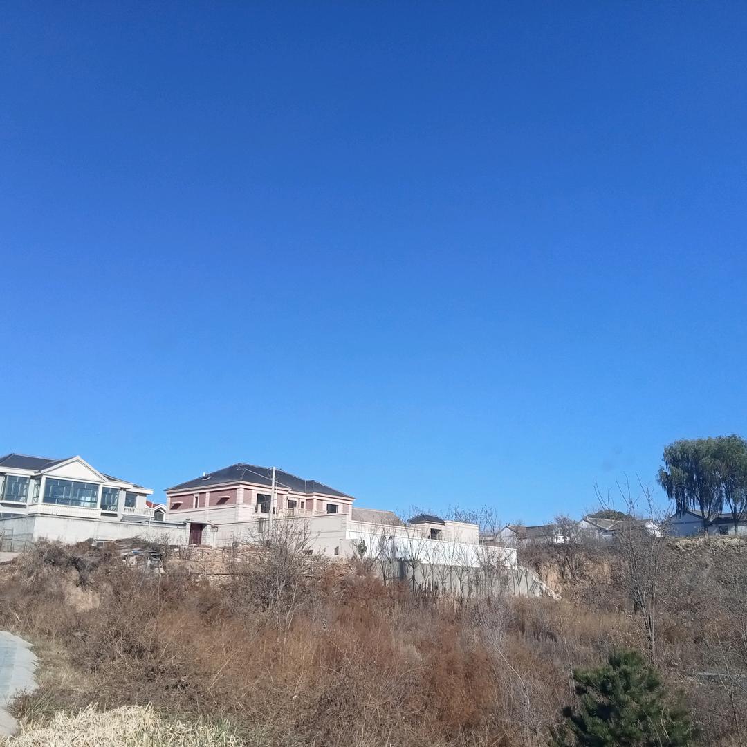 小尹真的帅550🐘