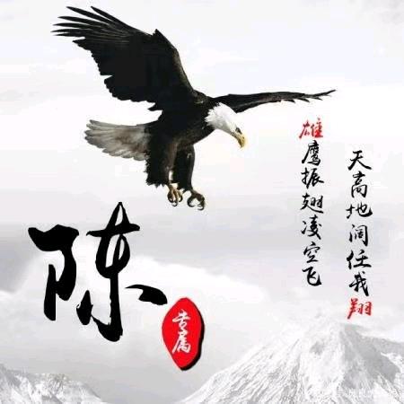 努力奋斗改进生活头像