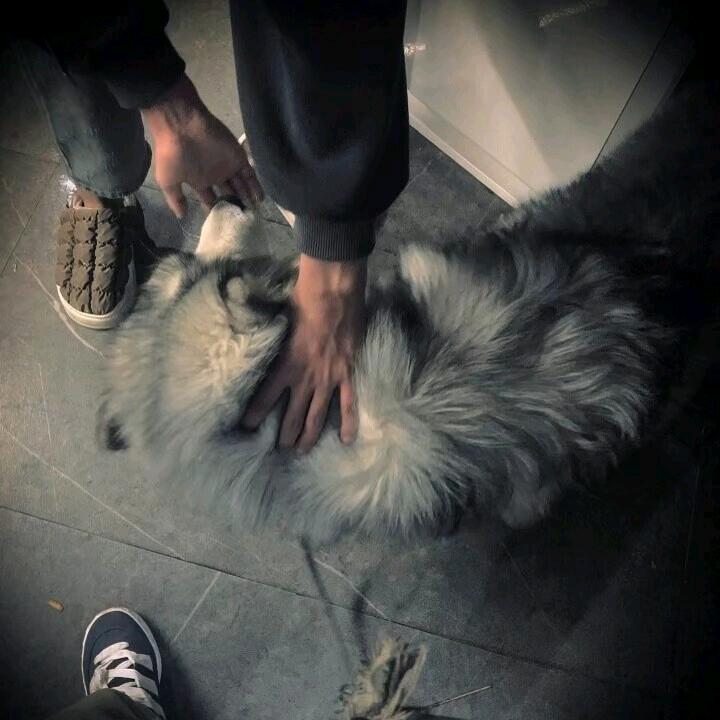 如果你也听郑润泽
