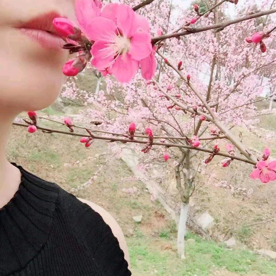 可梦。。。