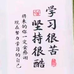 龙凤哥